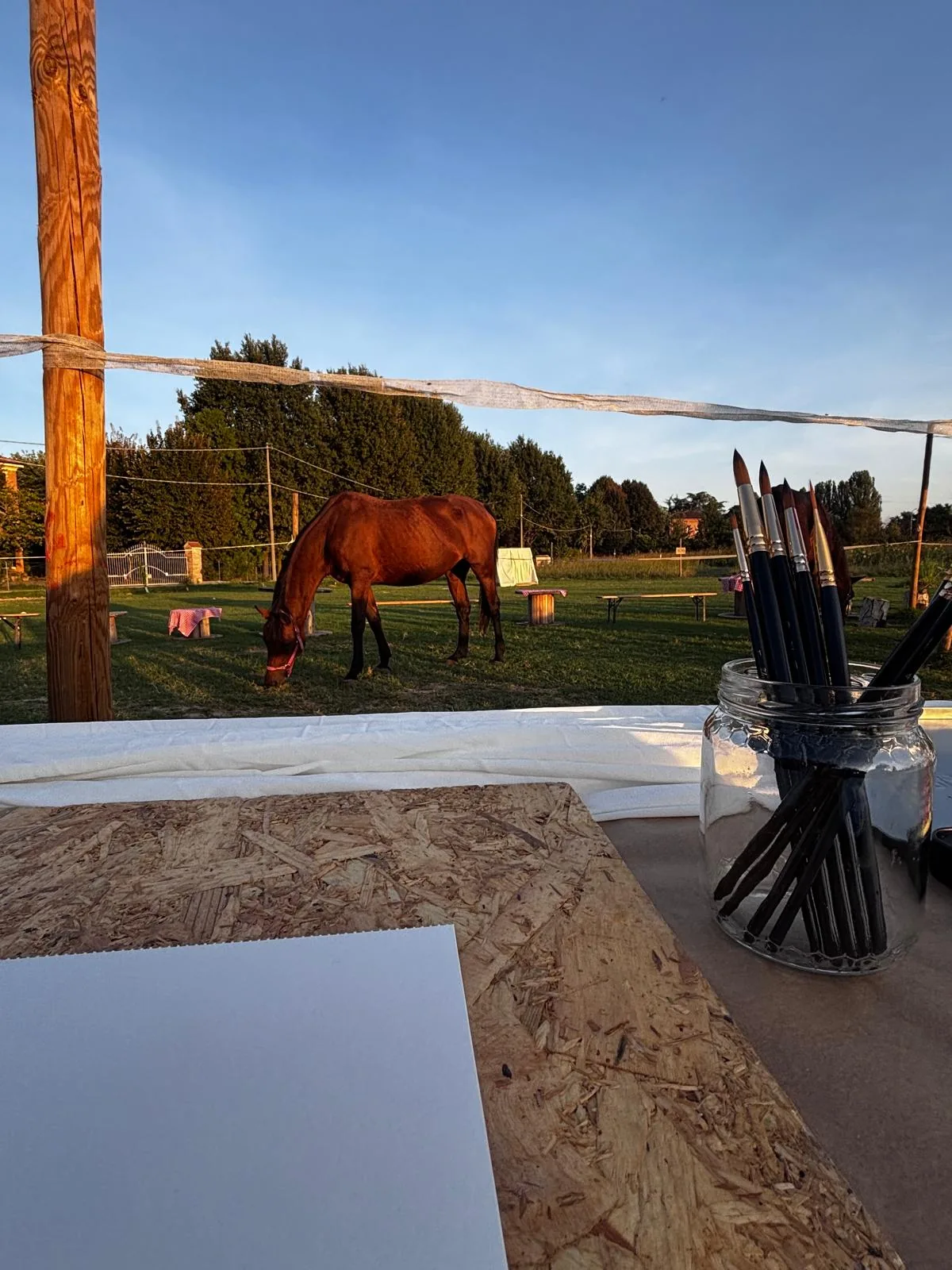 Cavallo al pascolo con tavolo da pittura in primo piano