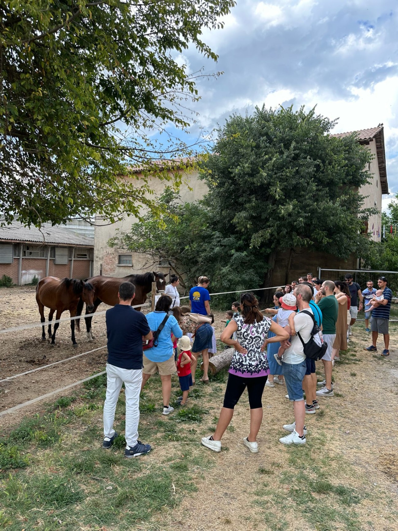 Famiglie osservano i cavalli in fattoria
